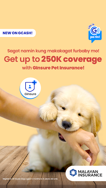 GInsure Pet Insurance IGS