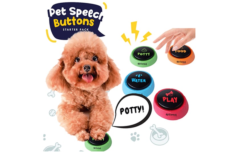 OUTDOOR FUN STUFF FOR YOUR FUR BABIES FROM PET EXPRESS