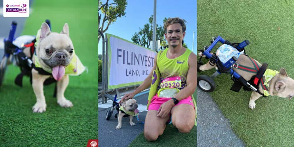 Small Body, Big Dream: Liit, a Special Dog on Wheels, Steals Hearts at EastWest Dream Run Manila