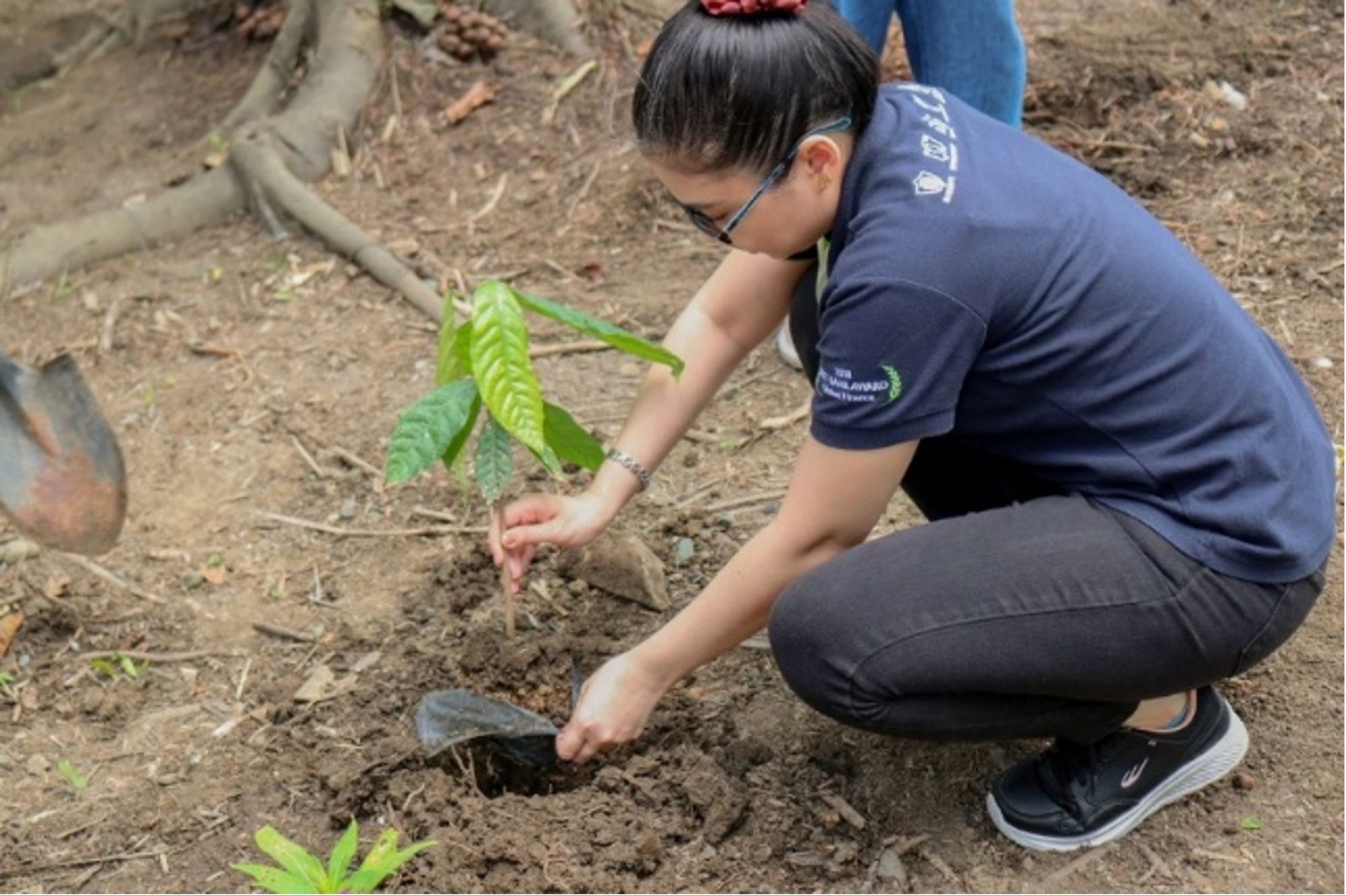 Building communities, transforming lives: Security Bank’s 2025 CSR and sustainability milestones